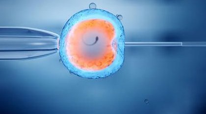 湖北试管婴儿医院排行，哪家医院更适合你？