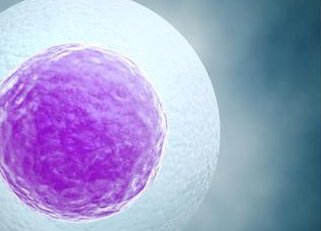 满足冻胚变成双胞胎的条件后概率大不大？