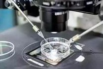 中信湘雅试管成功率高吗？国内试管医院中排名第几？