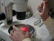 泰国做试管婴儿价格？