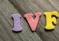 5细胞胚胎质量指南：看懂5细胞级别、养囊及移植成功率