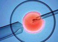 做美国试管婴儿的价格要多少呢？